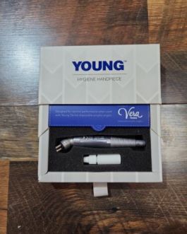Young Hygiene Prophy Handpiece Silver